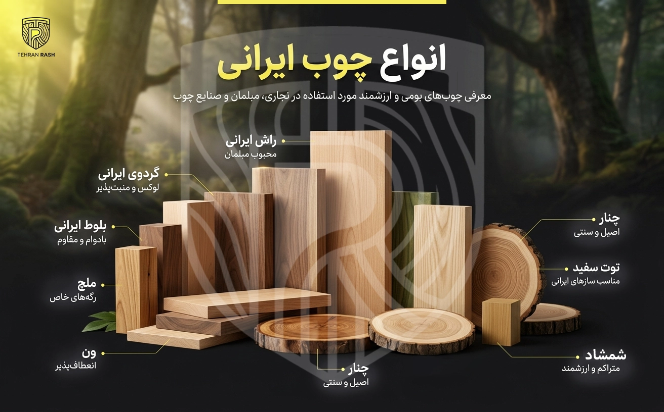 نمونههای انواع چوب ایرانی شامل راش، گردو، بلوط، ملچ، ون، چنار، توت سفید و شمشاد