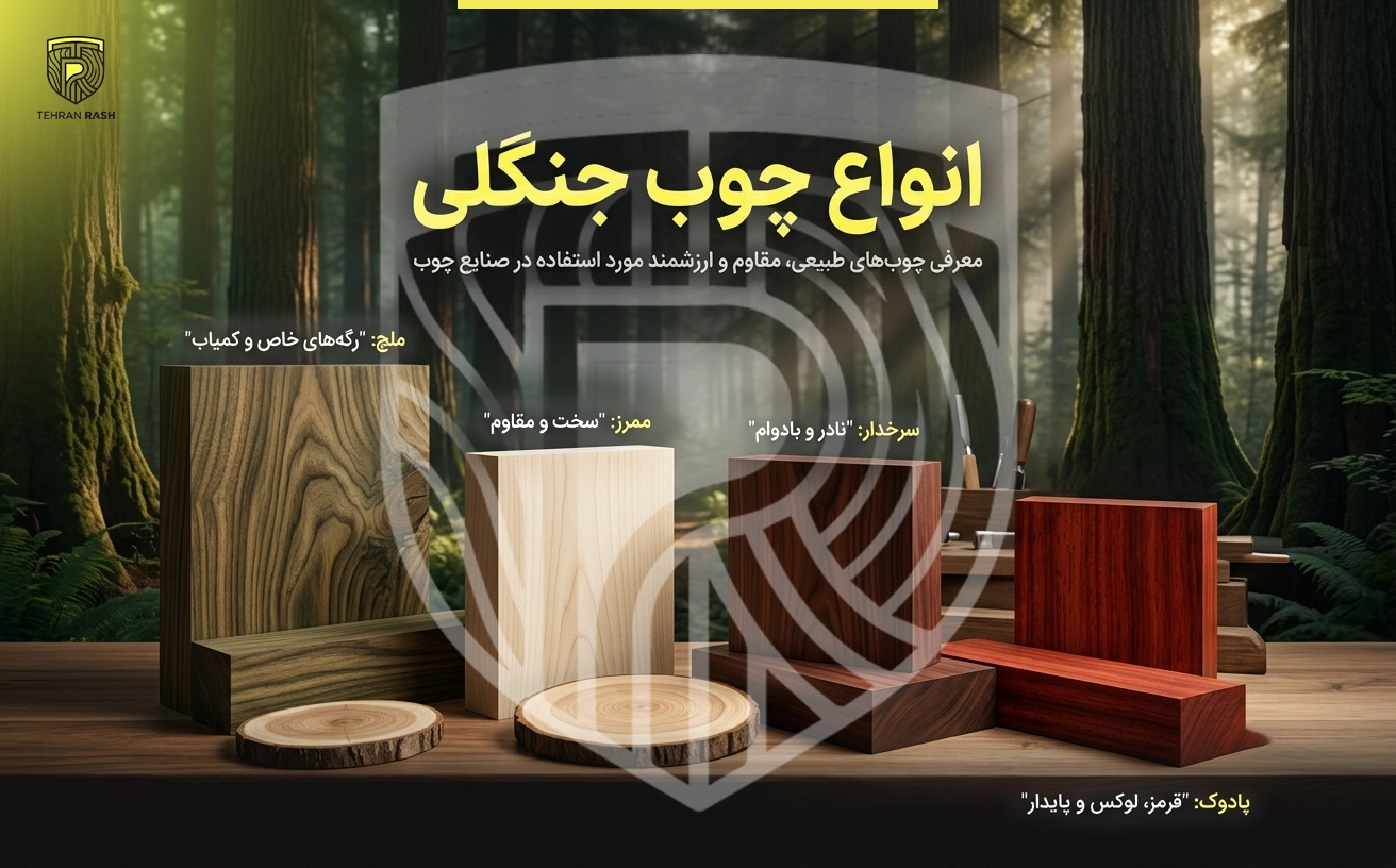 بررسی انواع چوب جنگلی شامل سرخدار، پادوک، ممرز، ملچ