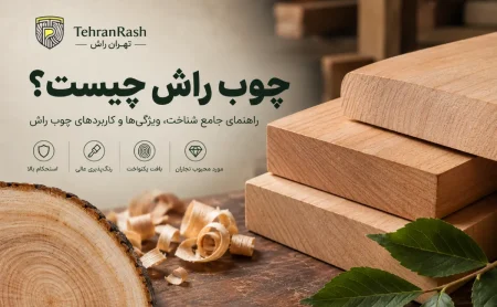 چوب راش چیست و چه کاربردهایی دارد